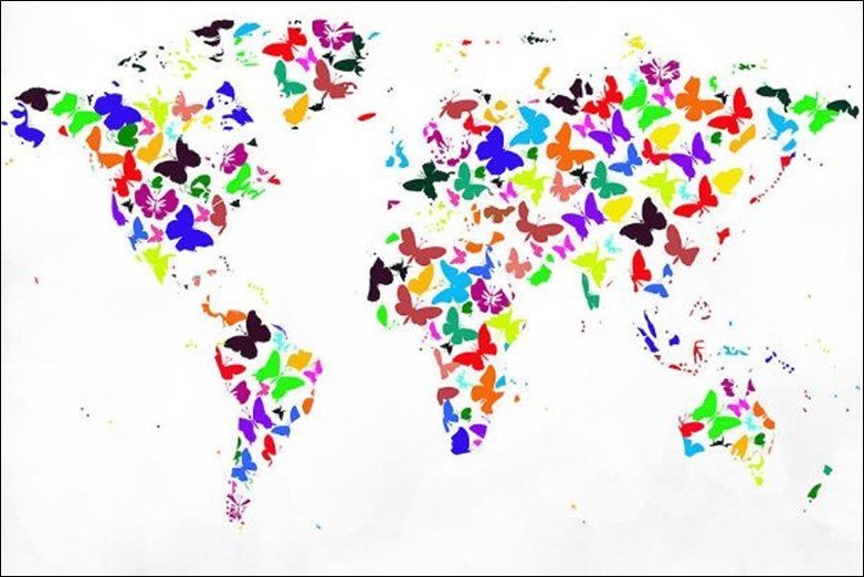 Butterflies World Map