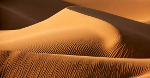 Dune Monitoring