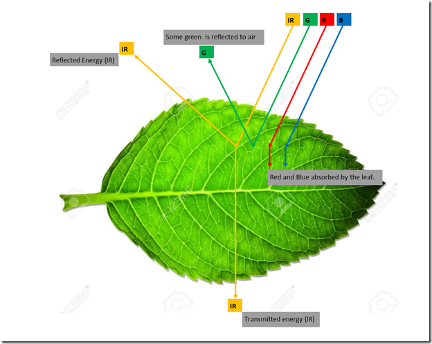 figure2