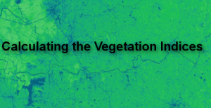 Calculating the Vegetation Indices from Landsat 8 image Using ArcGis 10.1