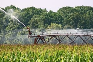 11 Applications of Remote Sensing in Irrigation